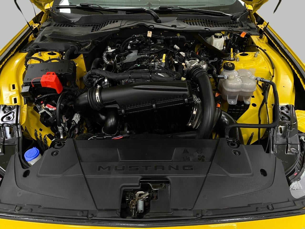 2024 Ford Mustang EcoBoost Premium Convertible