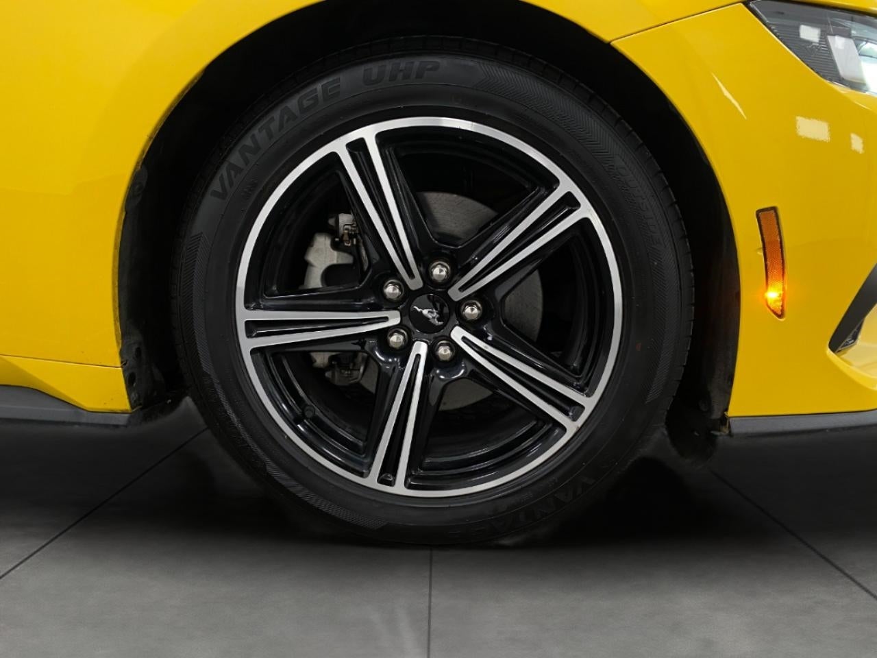 2024 Ford Mustang EcoBoost Premium Convertible