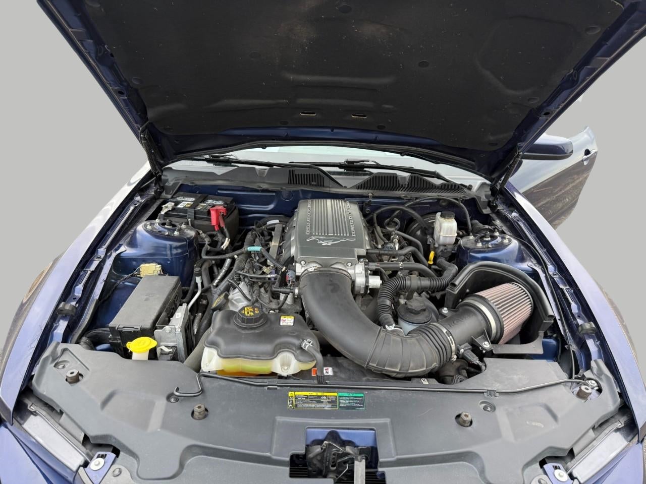 2010 Ford Mustang 2dr Cpe GT Premium