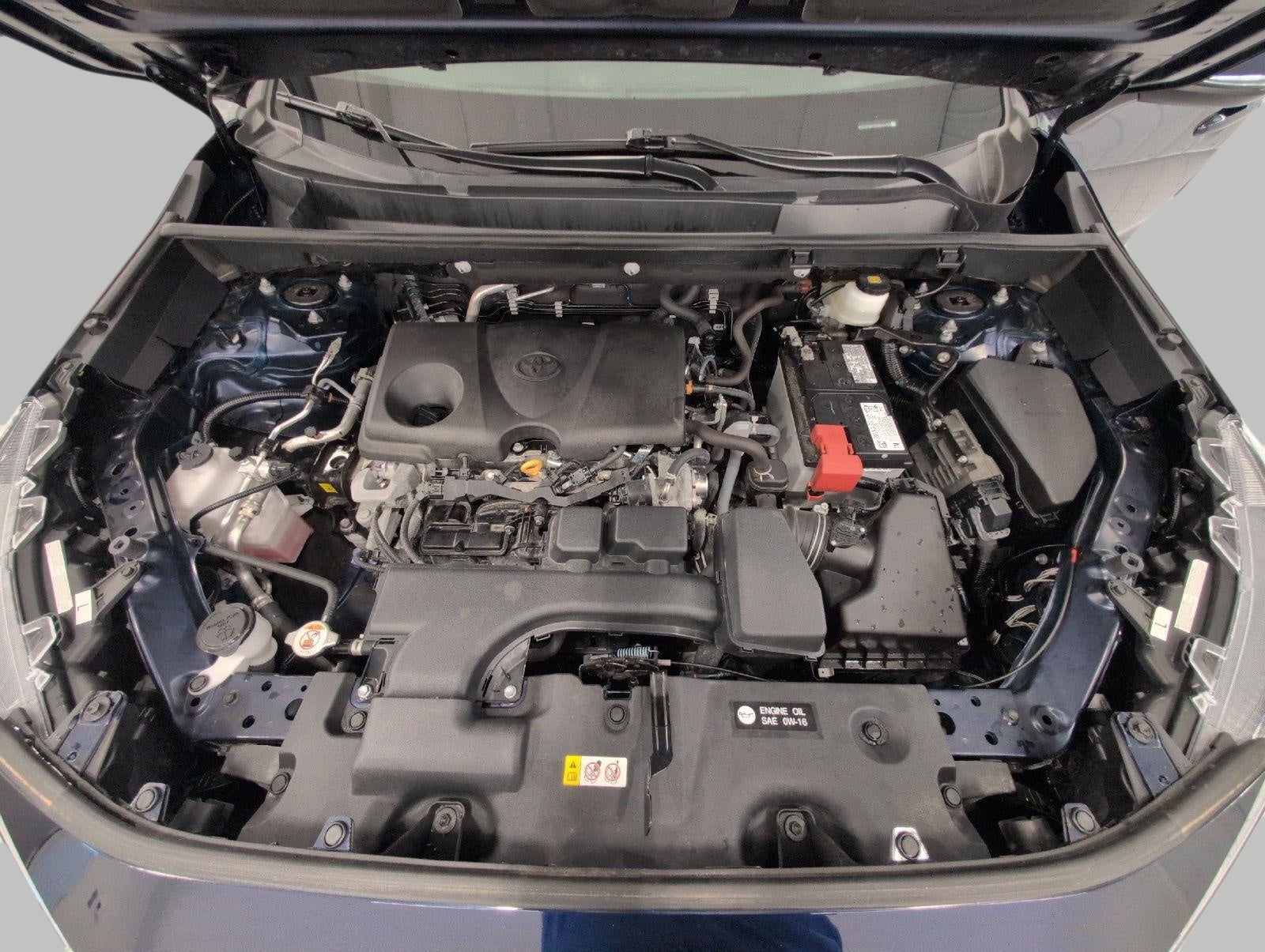 2025 Toyota RAV4 XLE AWD