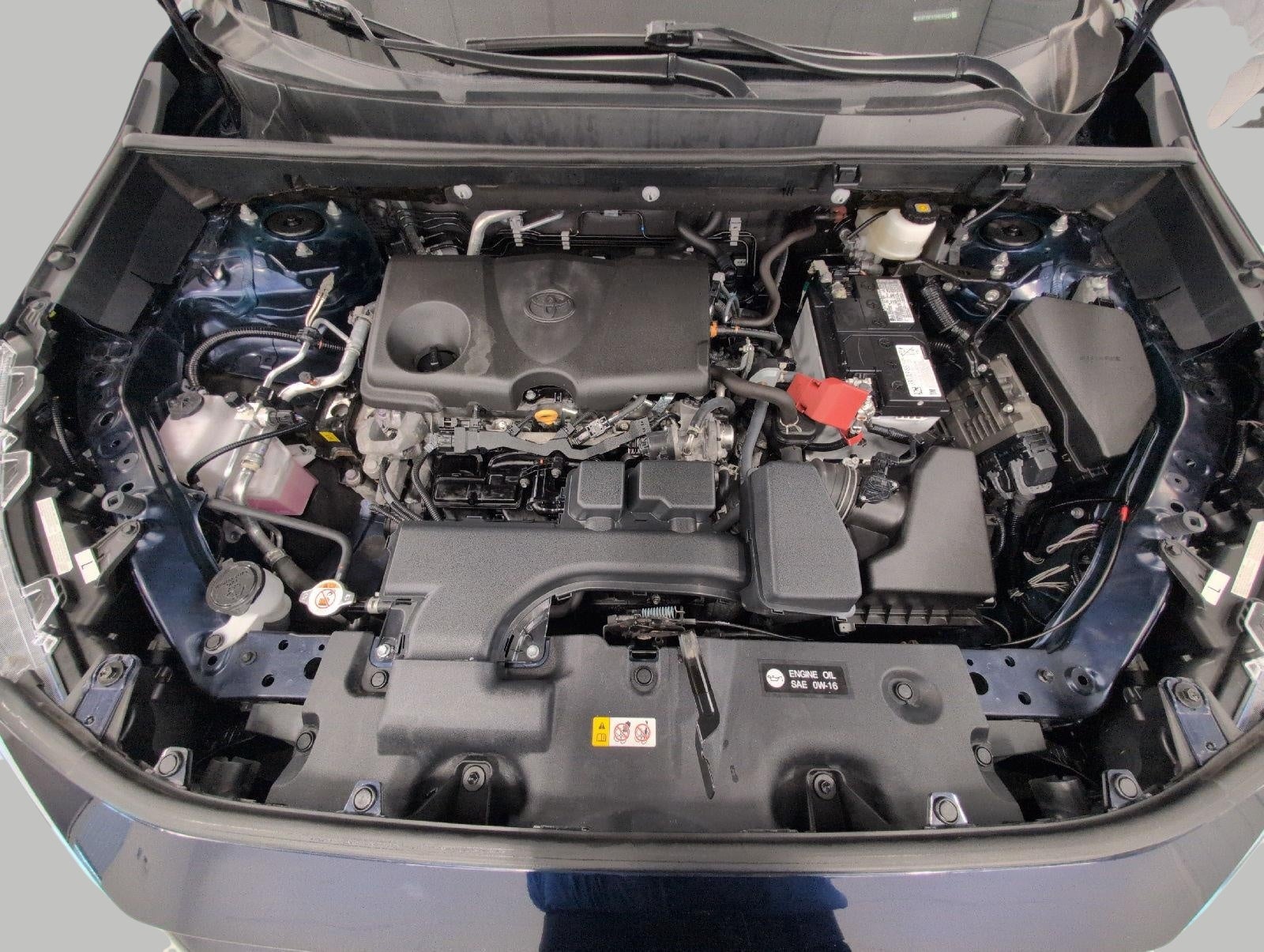 2025 Toyota RAV4 XLE AWD