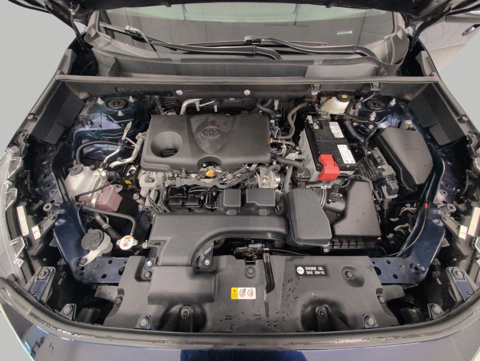 2025 Toyota RAV4 XLE AWD