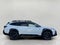 2024 Subaru Outback Wilderness AWD