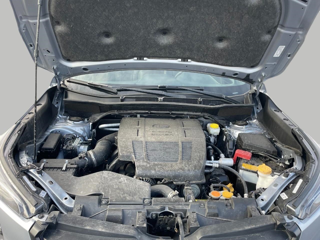 2025 Subaru Forester Wilderness CVT