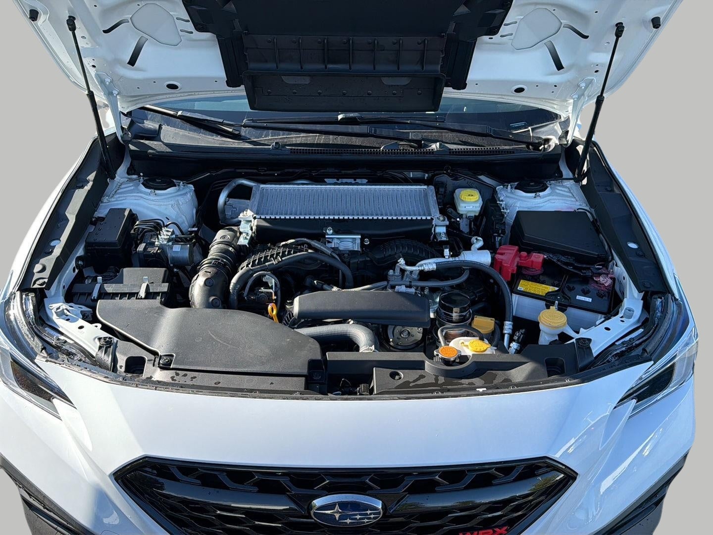 2026 Subaru WRX Limited