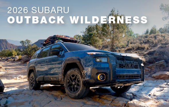 2026 Subaru Outback Wilderness | Bergstrom Subaru Oshkosh in Oshkosh WI