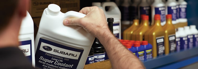 Picture of Subaru Super Coolant. | Bergstrom Subaru Oshkosh in Oshkosh WI