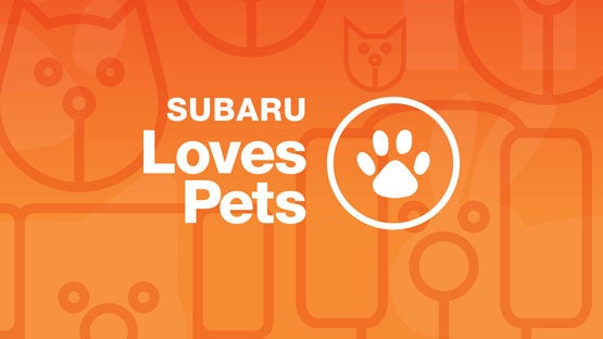 Bergstrom Subaru Oshkosh in Oshkosh WI