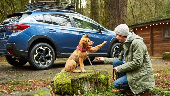 Bergstrom Subaru Oshkosh in Oshkosh WI