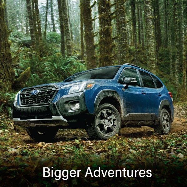 A blue Subaru outback wilderness with the words &ldquo;Bigger Adventures&ldquo;. | Bergstrom Subaru Oshkosh in Oshkosh WI